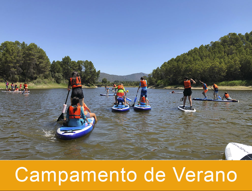 Campamentos de Verano Tiger Camp