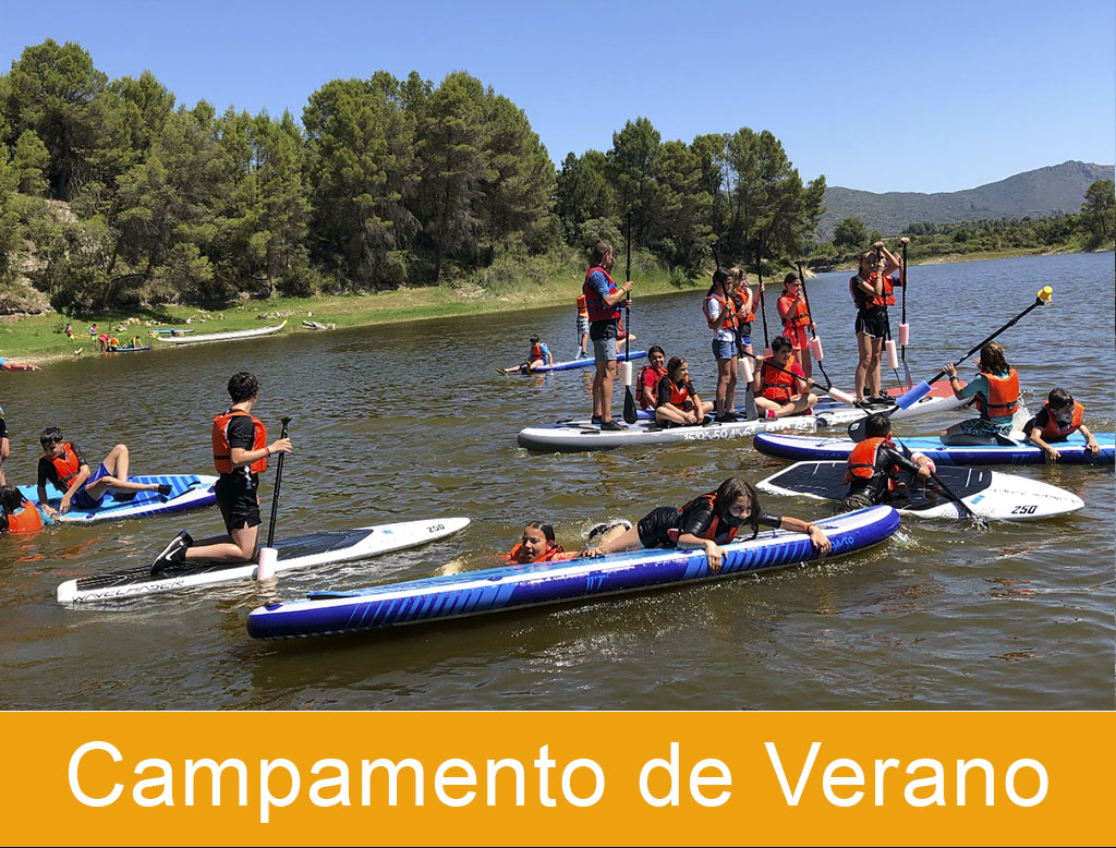 Campamentos de Verano Tiger Camp