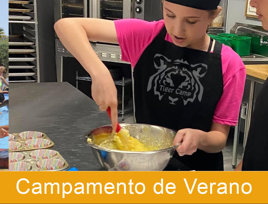 Campamentos de Verano Tiger Camp