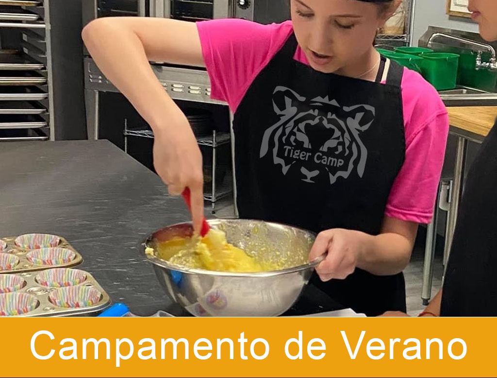Campamentos de Verano Tiger Camp