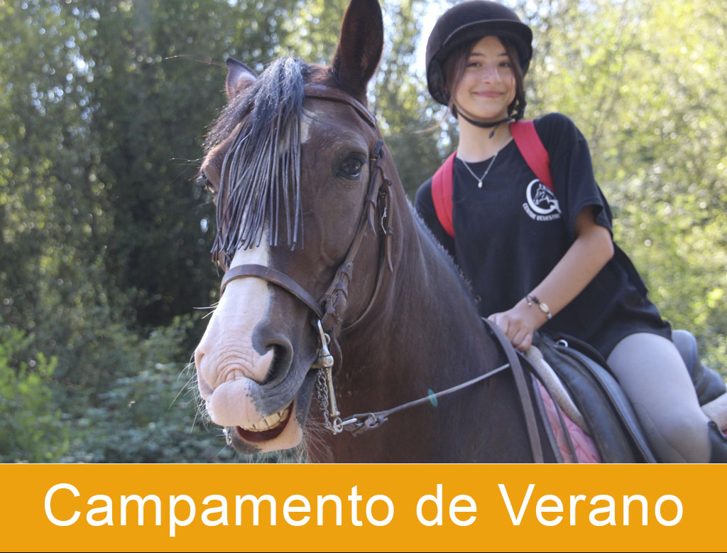 Campamento de verano ecuestre