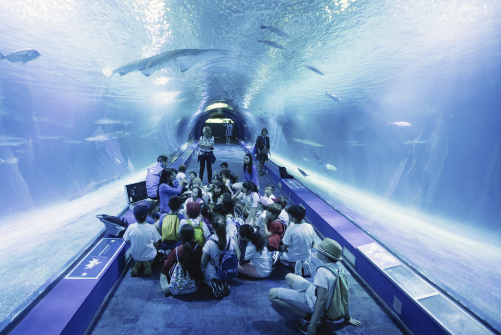 Visita en tu Viaje de fin de curso la Ciudad de las artes y las ciencias en Valencia