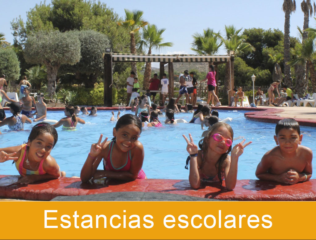 Campamentos de Verano Tiger Camp