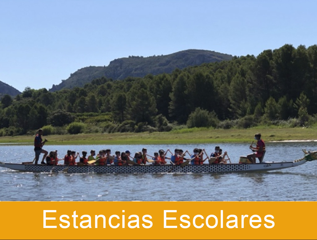 Estancias Escolares para niños y jóvenes de 5 a 17 años